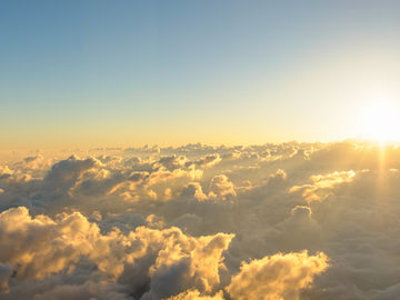 4-ceos-thriving-2020