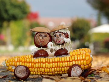 thanksgiving-travel-trends-2020