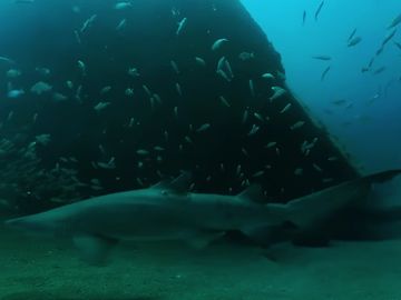 Hot 25 Startups 2019: Ascape