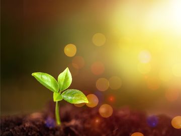 VIDEO: How can the concept of hope help the travel industry thrive?