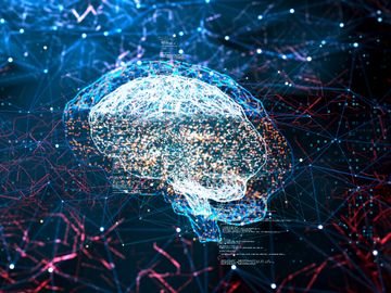 netomi-opinion-airline-ai