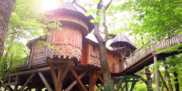 PhocusWire Pulse LIVE STREAM: Rentals On The Rise