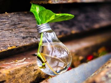 Phocuswright Europe 2021: Every innovator pitch