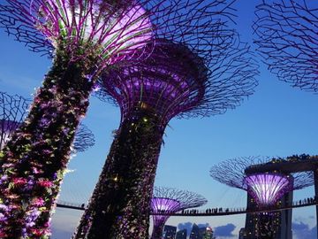 How Singapore Tourism Board is working on a post-coronavirus strategy
