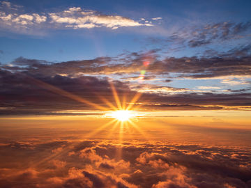 Scenarios for what the travel industry might be dealing with after COVID-19