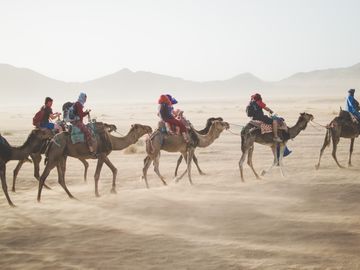 Why activities should focus on providing an omnichannel experience