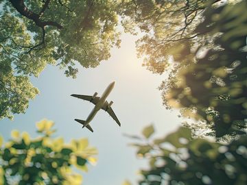 Industry leaders are committed to sustainability but need more support