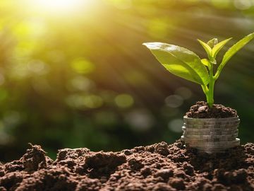 Travel payments, part 4: Hopes and hurdles for startups