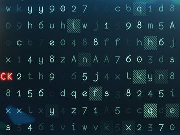 VIDEO: Are you focusing on the big issues around digital security in travel?